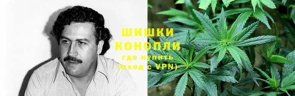 дмт Кодинск