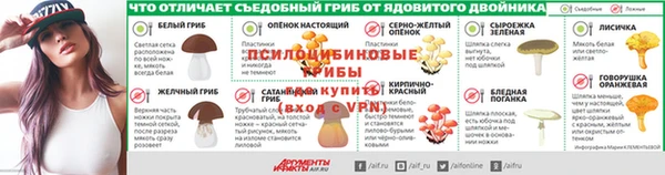 стафф Калининец