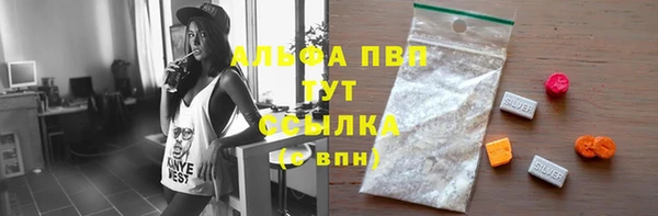 прущие грибы Киренск