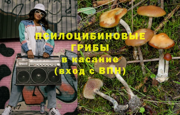 прущие грибы Киренск