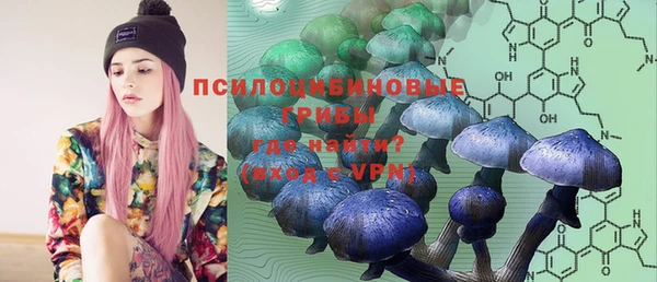 прущие грибы Киренск