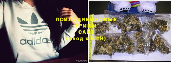 дмт Кодинск